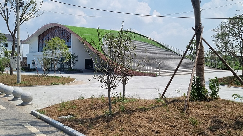 Mortar quick-drying waterproof emulsion- Waterproof Project on Building Roof in Cultural Tourism Ecological Park, Pinghu City, Zhejiang
